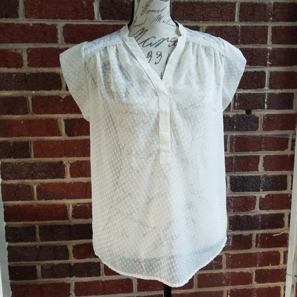 Alice Blue Sheer Embroidered Top